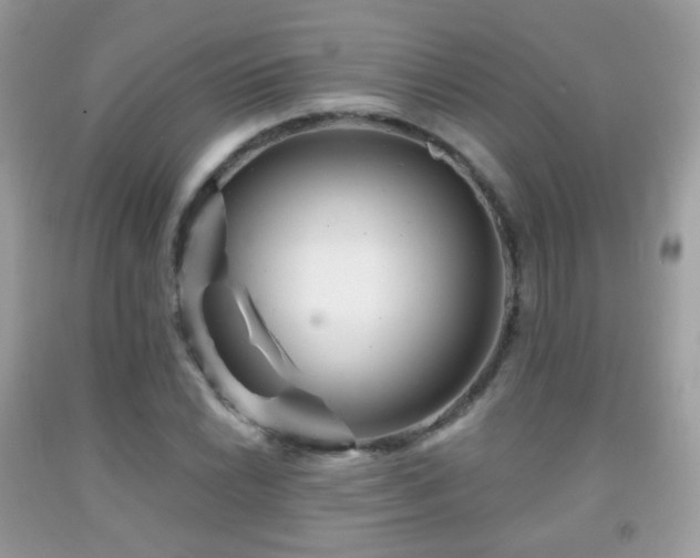 X0000091951022200709061236