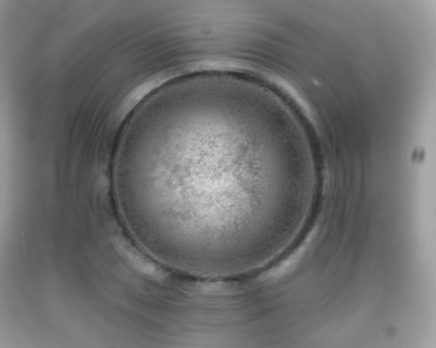X0000091951025200709061236