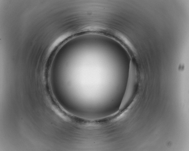 X0000091951026200709061236