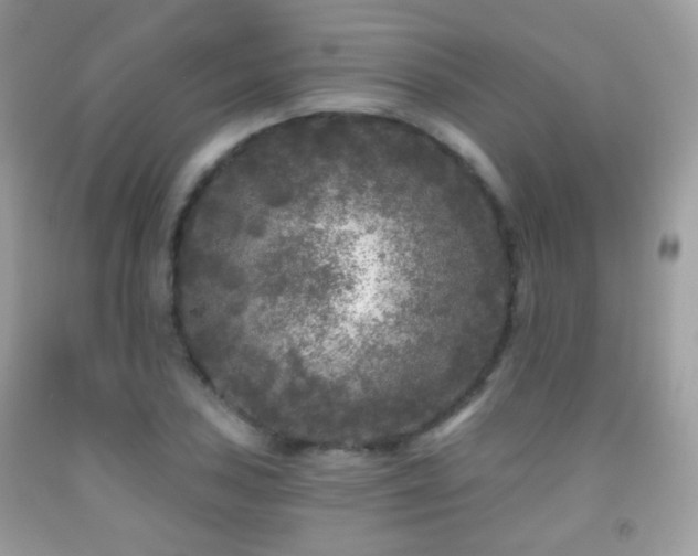 X0000091951027200709061236