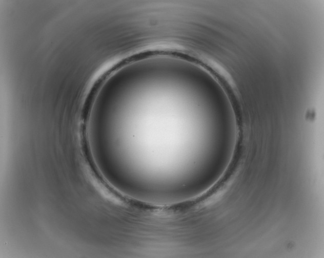 X0000091951029200709061236