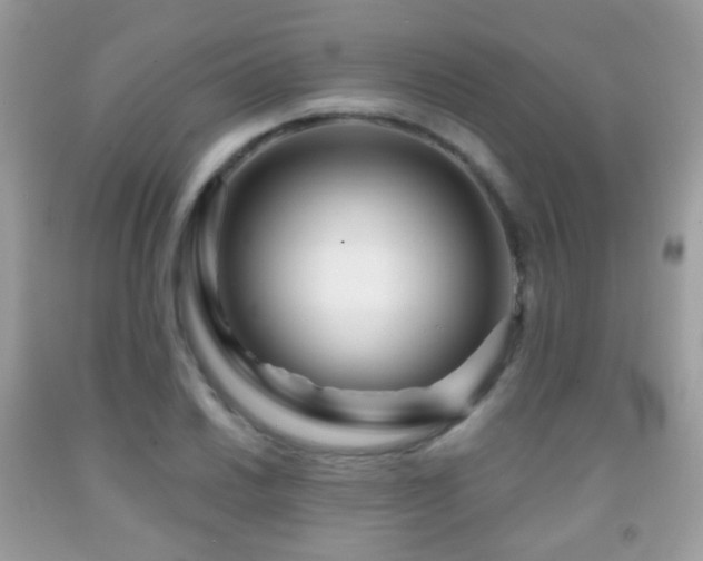 X0000091951030200709061236