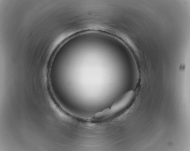 X0000091951032200709061236