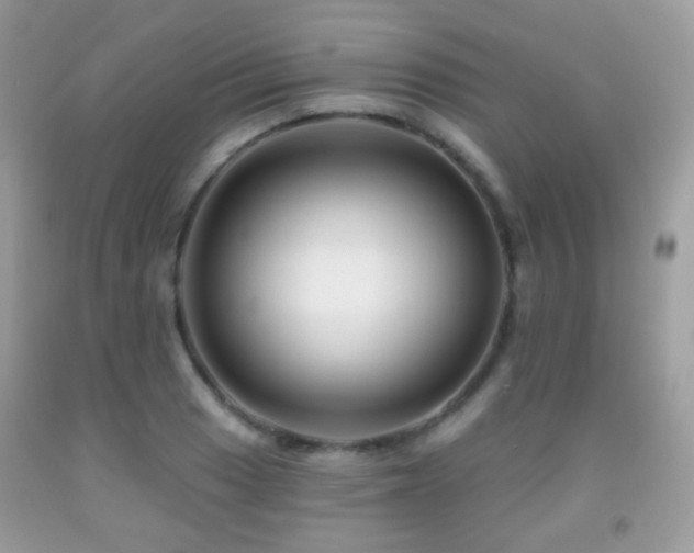 X0000091951033200709061236