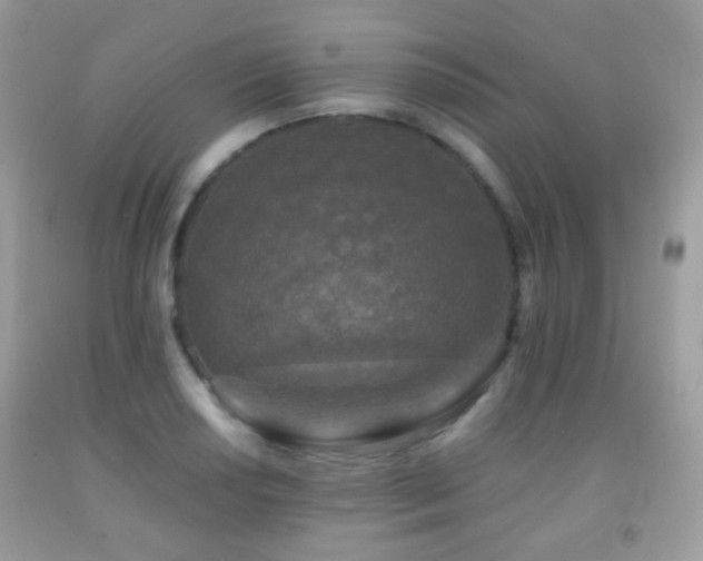 X0000091951034200709061236