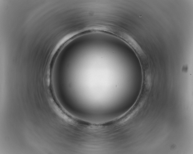 X0000091951036200709061236