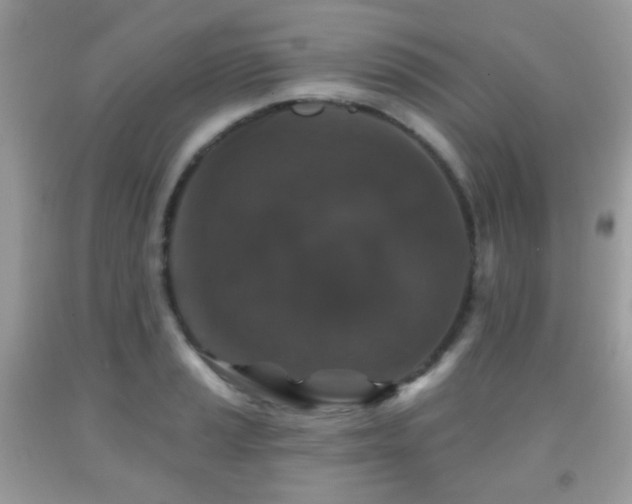 X0000091951037200709061236