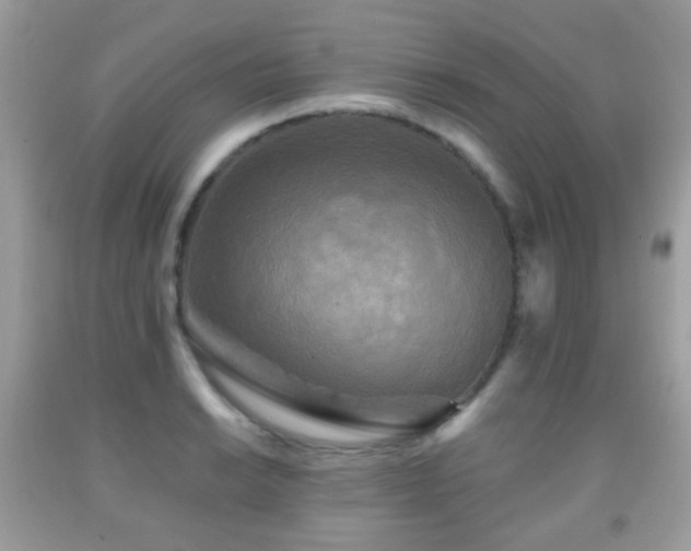 X0000091951038200709061236