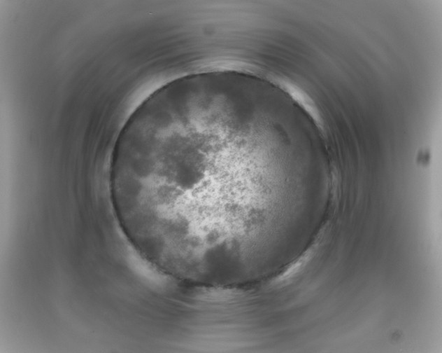 X0000091951039200709061236
