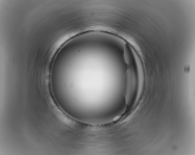 X0000091951040200709061236