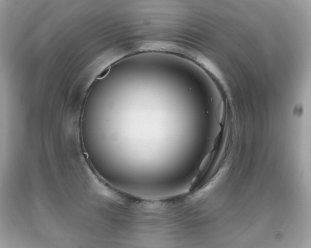 X0000091951041200709061236