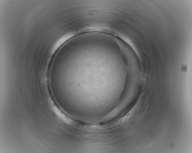 X0000091951042200709061236