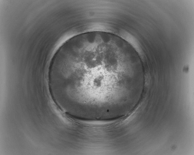 X0000091951043200709061236