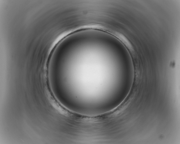 X0000091951044200709061236