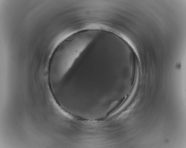 X0000091951045200709061236