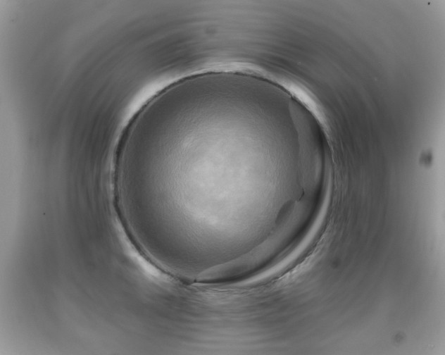 X0000091951046200709061236