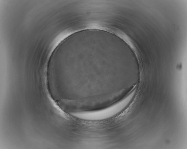 X0000091951048200709061236