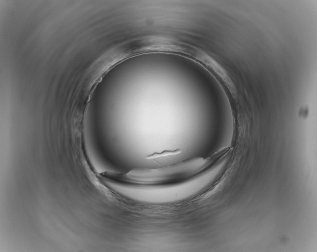X0000091951049200709061236