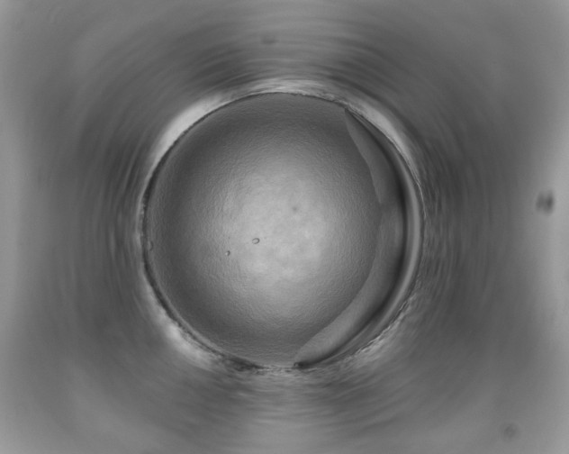X0000091951050200709061236