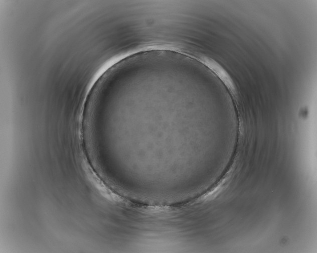 X0000091951052200709061236