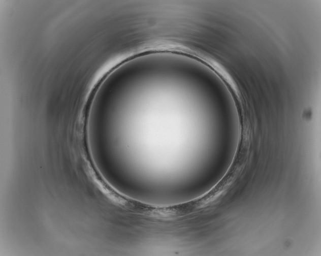 X0000091951053200709061236