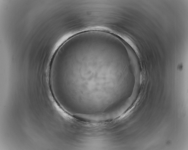 X0000091951054200709061236