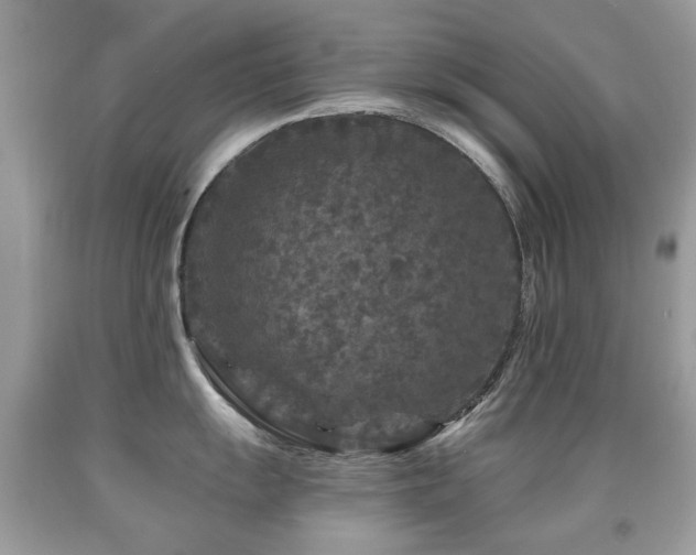 X0000091951055200709061236