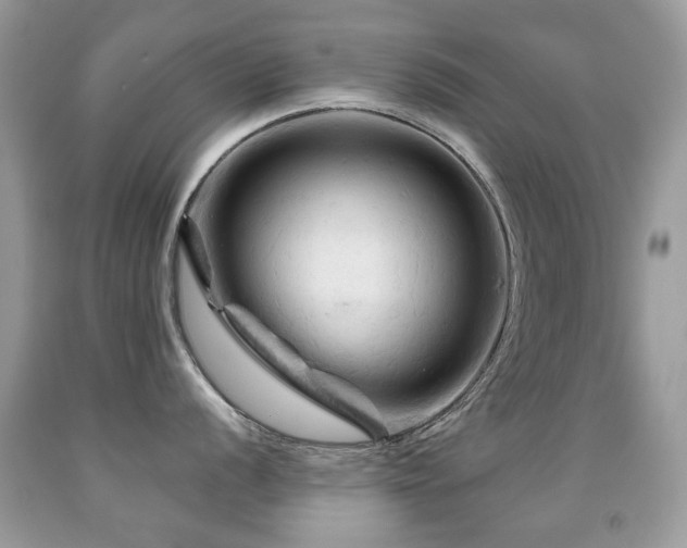 X0000091951056200709061236