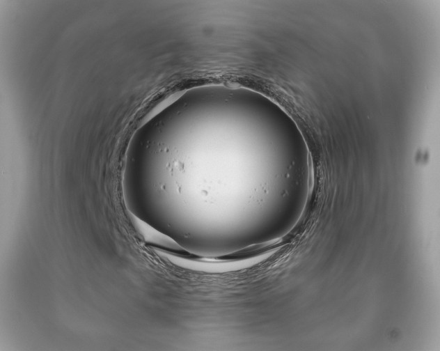X0000091951057200709061236