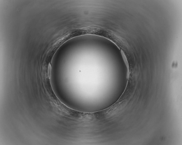 X0000091951058200709061236