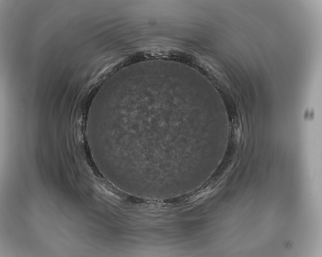 X0000091951060200709061236