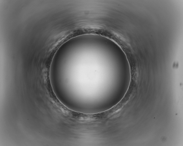 X0000091951061200709061236