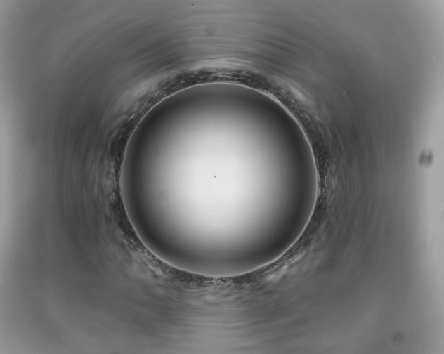 X0000091951062200709061236