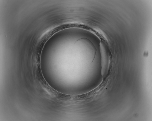 X0000091951064200709061236