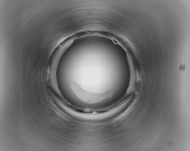 X0000091951065200709061236