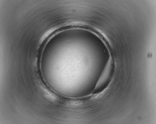 X0000091951066200709061236