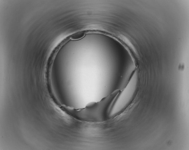 X0000091951068200709061236