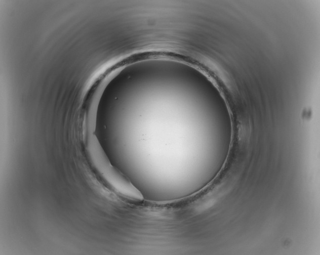 X0000091951069200709061236