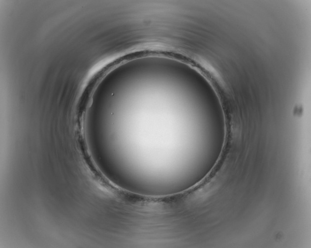 X0000091951070200709061236