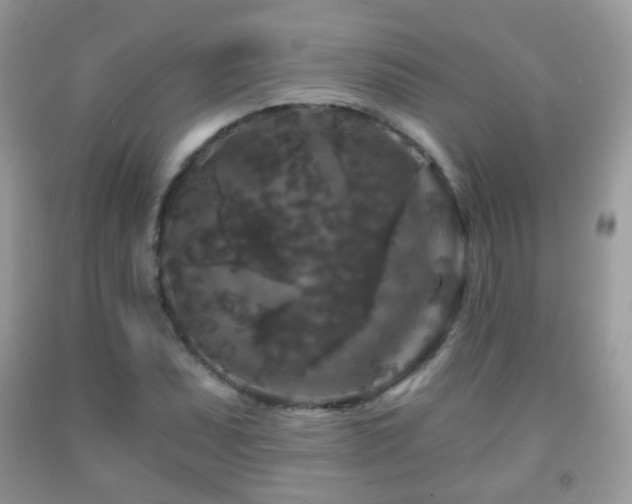 X0000091951071200709061236