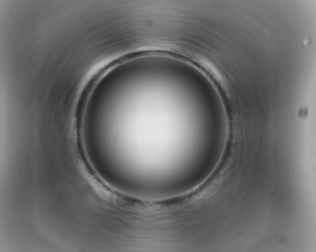 X0000091951072200709061236