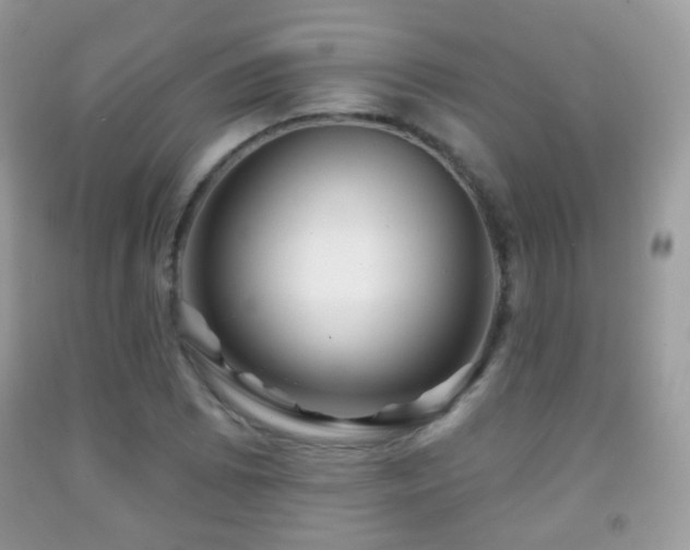 X0000091951073200709061236