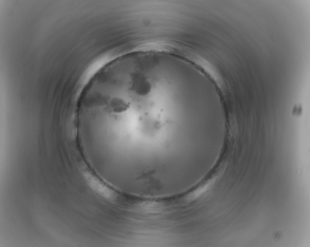 X0000091951075200709061236
