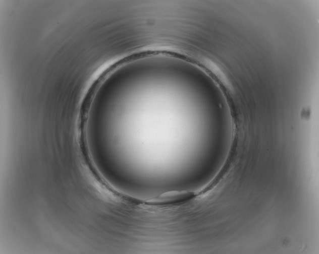X0000091951076200709061236
