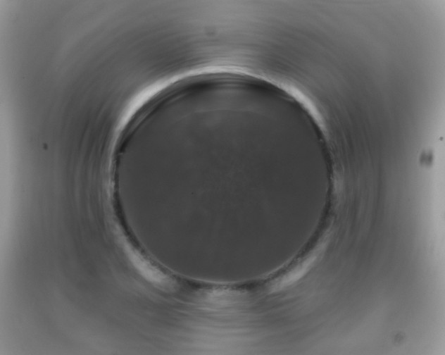 X0000091951077200709061235