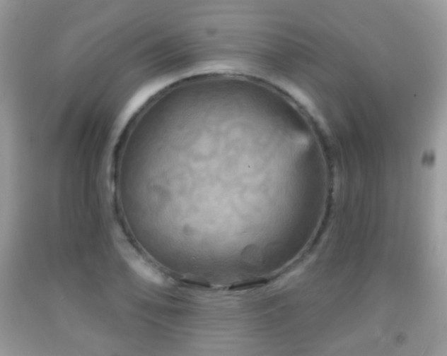 X0000091951078200709061235