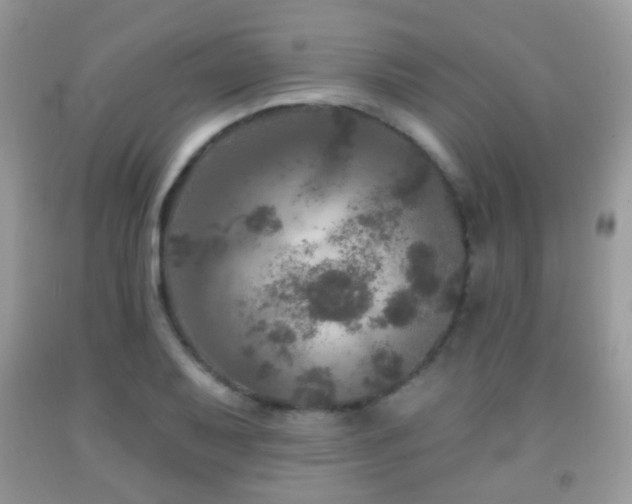 X0000091951079200709061235
