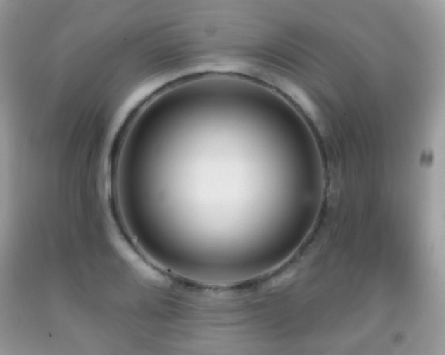 X0000091951080200709061235