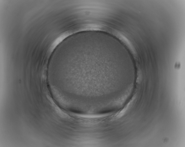 X0000091951081200709061235
