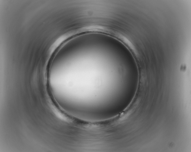 X0000091951082200709061235